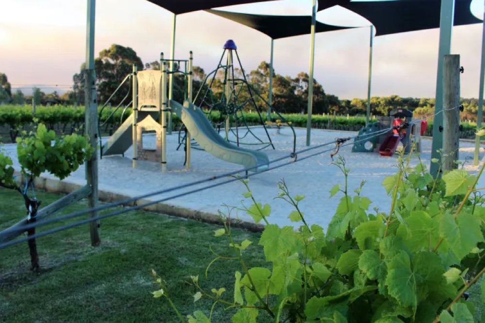 Boston Brewing Co. family playground and vineyard setting