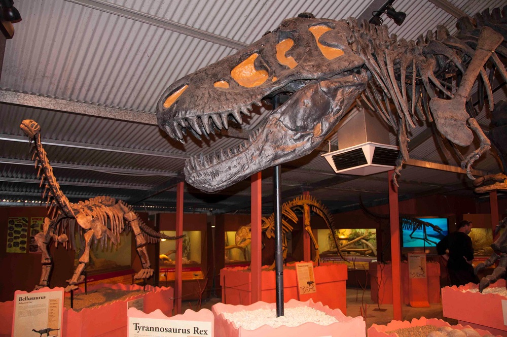 Denmark Dinosaur World native and exotic animals
