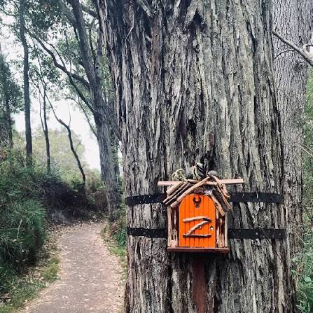 Fairy door along the Denmark riverside trail
